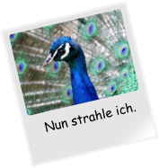 Nun strahle ich.